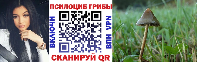 Псилоцибиновые грибы прущие грибы  дарк нет Telegram  Урень 
